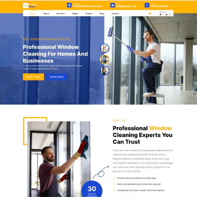 Cleaning WordPress Theme - Image 2