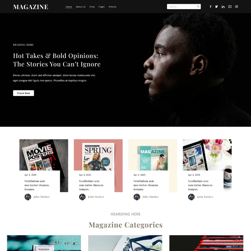 Online Magazine WordPress Theme - Image 2