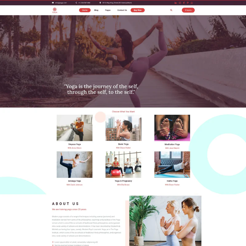 Yogi WordPress Theme - Image 2